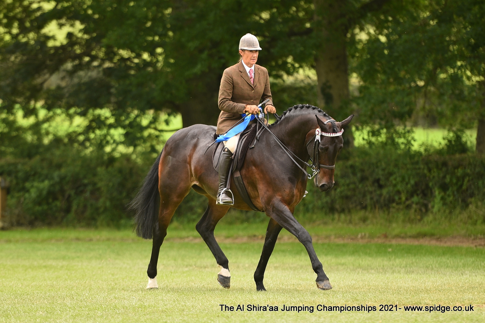 Alltech Supreme Riding Horse Reserve Jayne Ross Casino