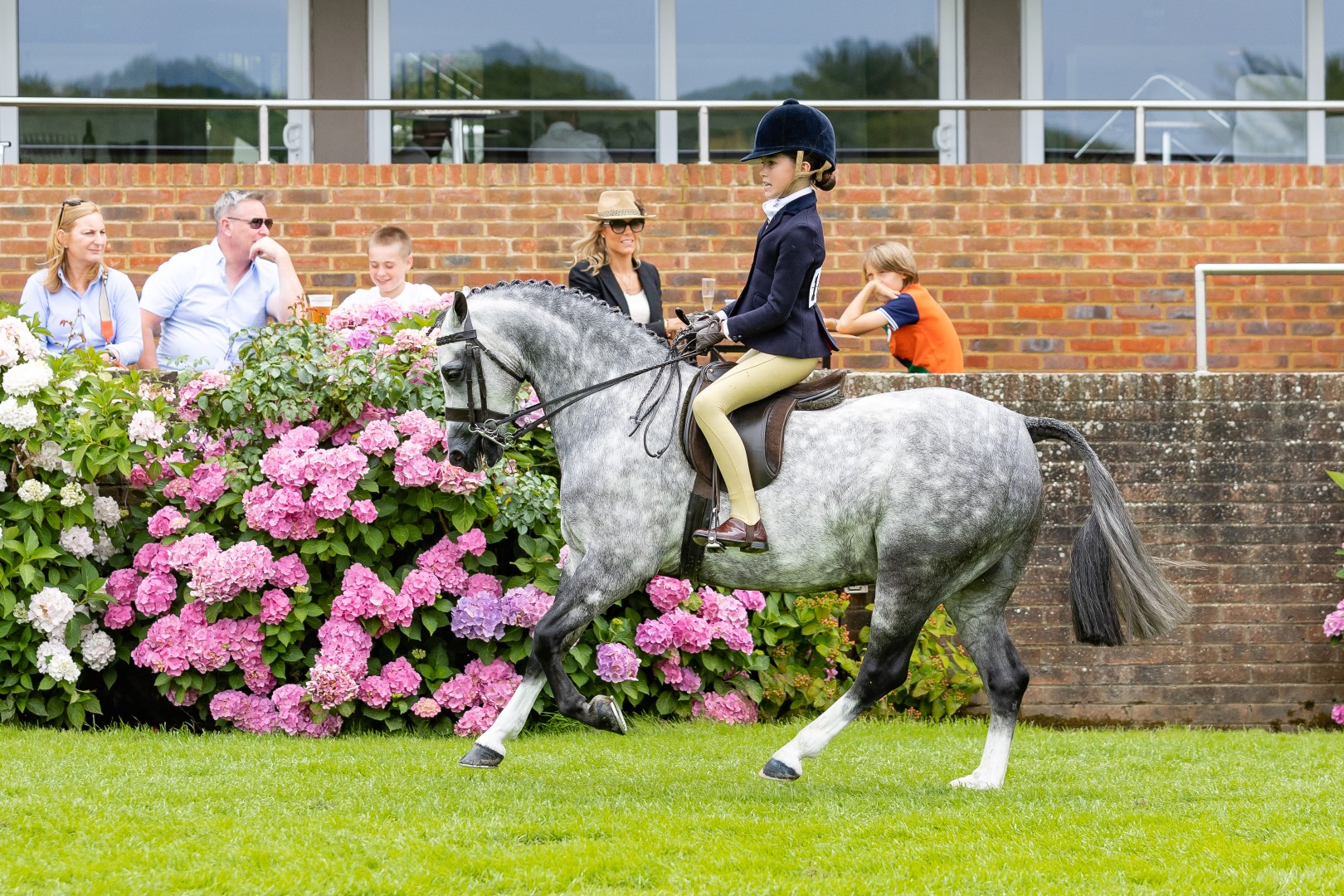 Darcie Fielding And Rowfantina My Buddy B&H (5) (Large)