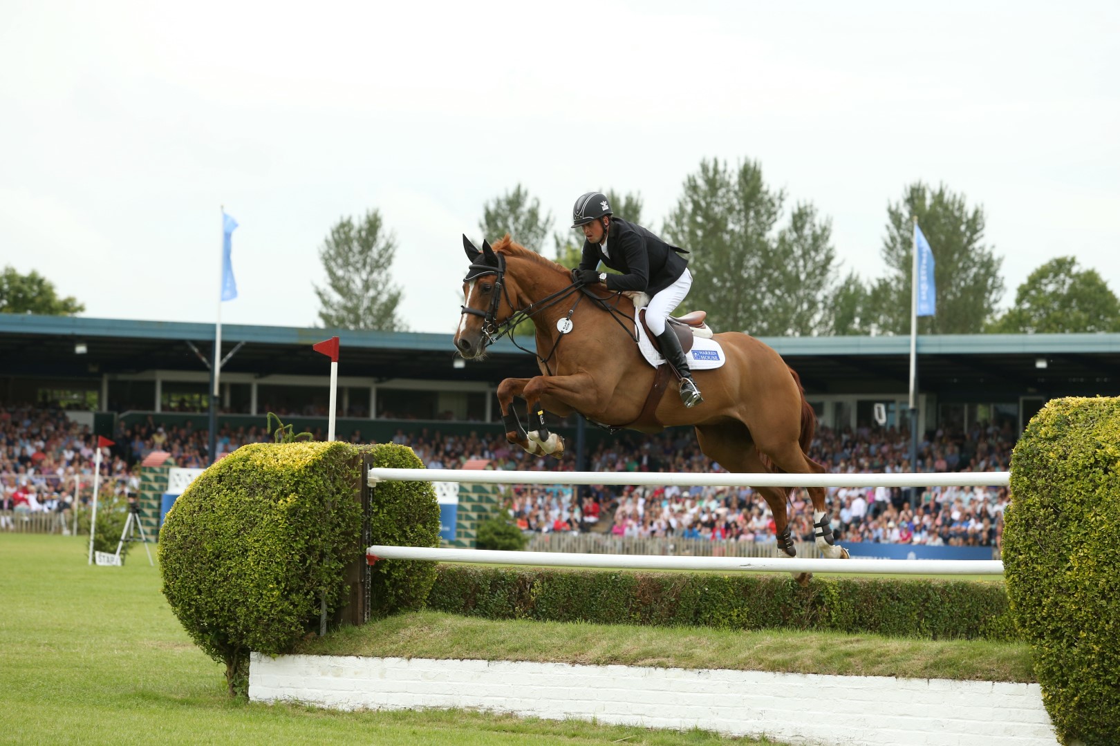 JP_B1744 (Large).JPG