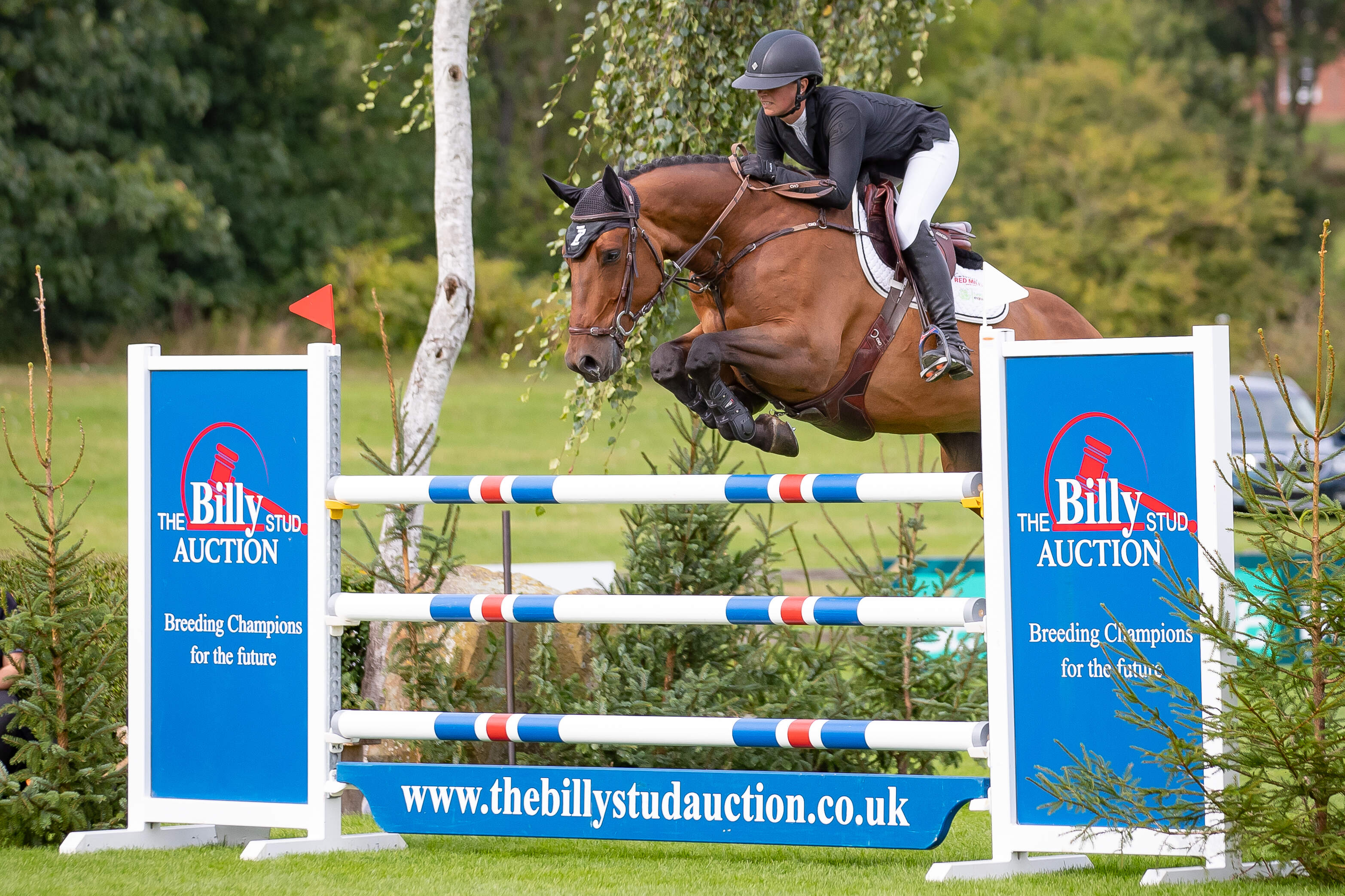 BH HICK 20240830 35 Katie Speller Z7 PINK PANTHER (5)