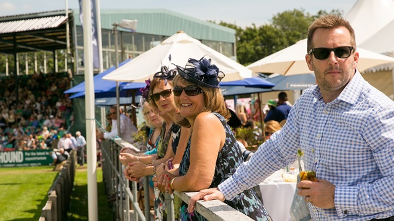 Ringside Terrace.jpg