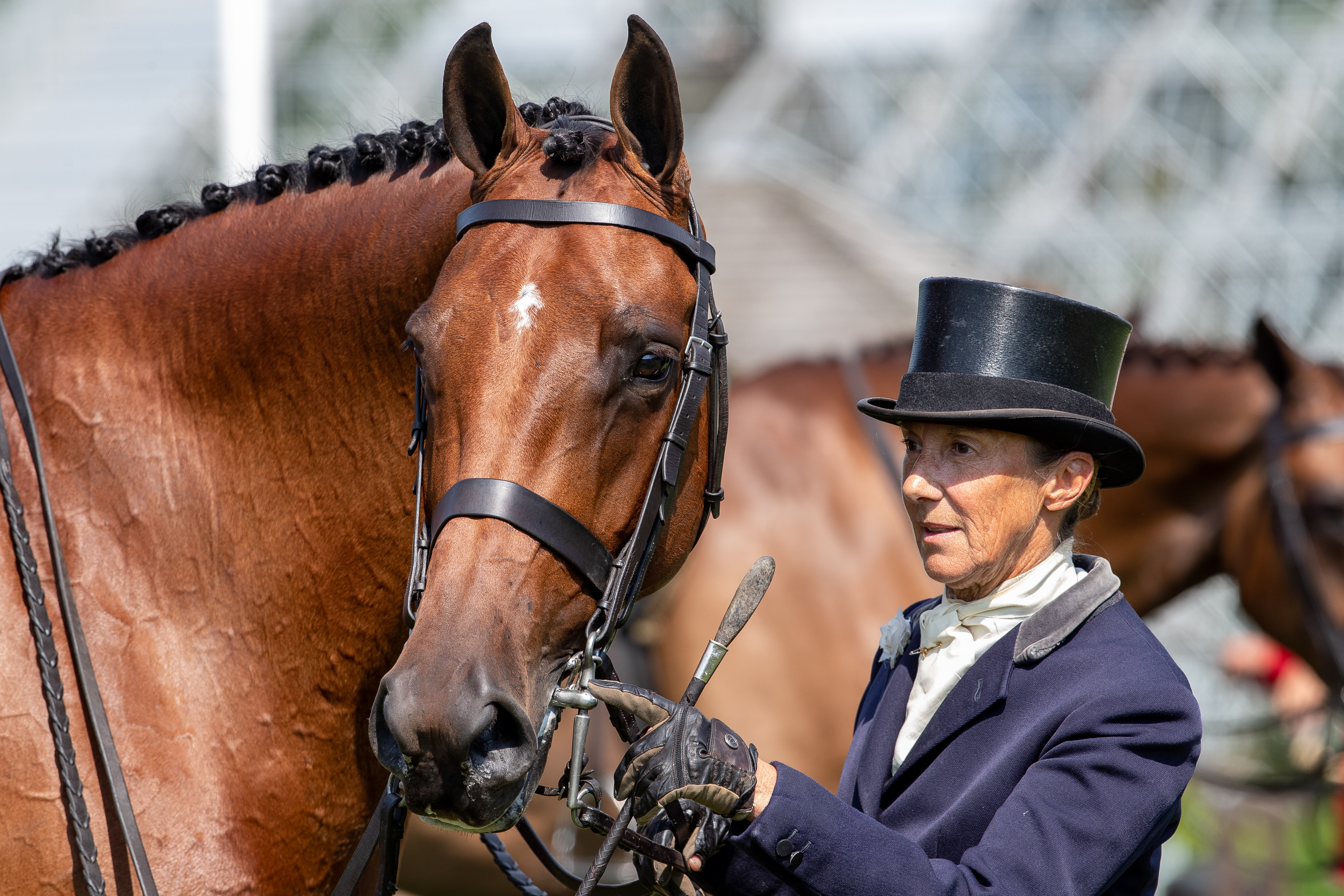 Jayne Ross Temple Ogue