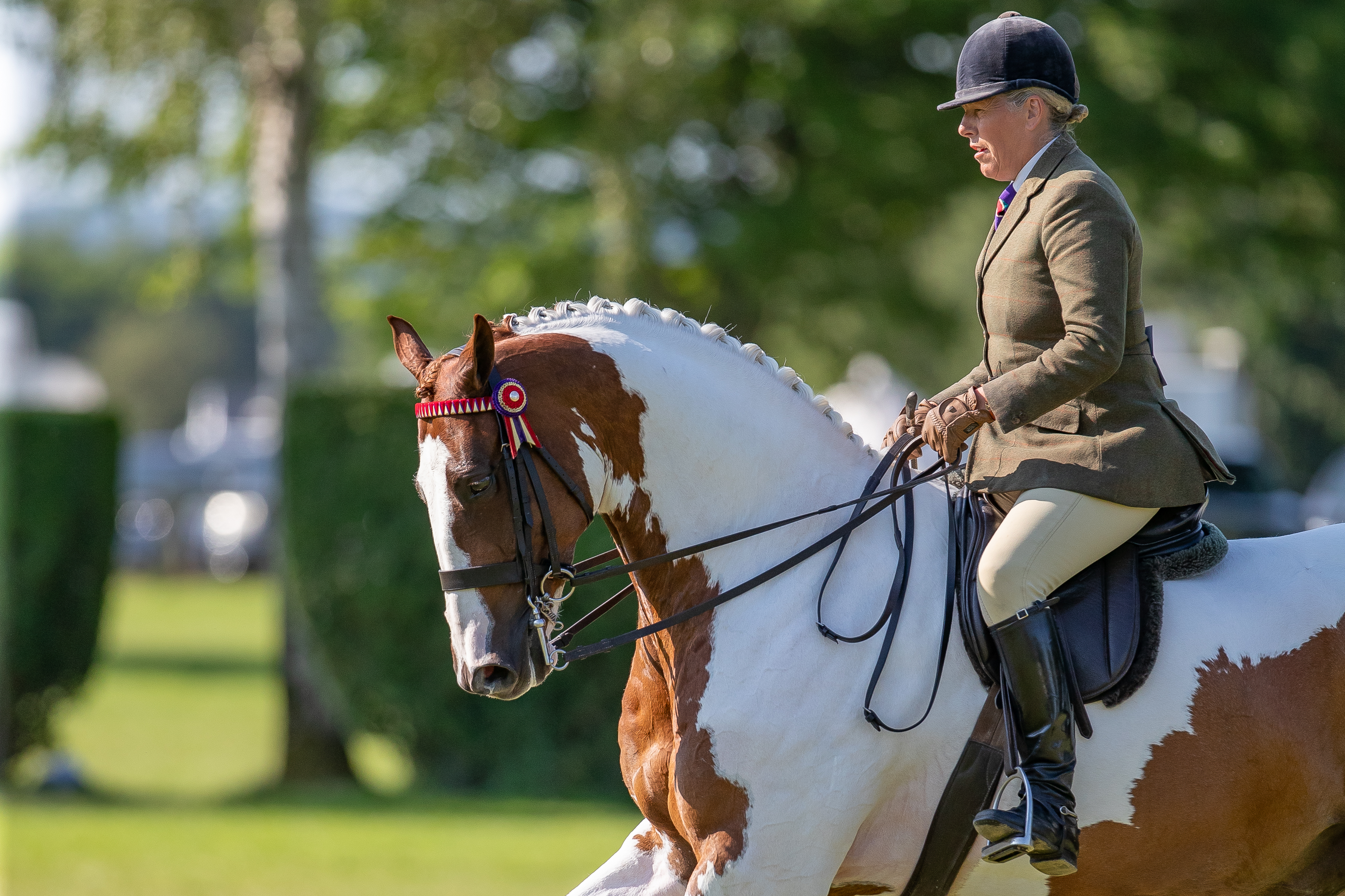 Katie Jerram-Hunnable and Sunbeam_BH (2)