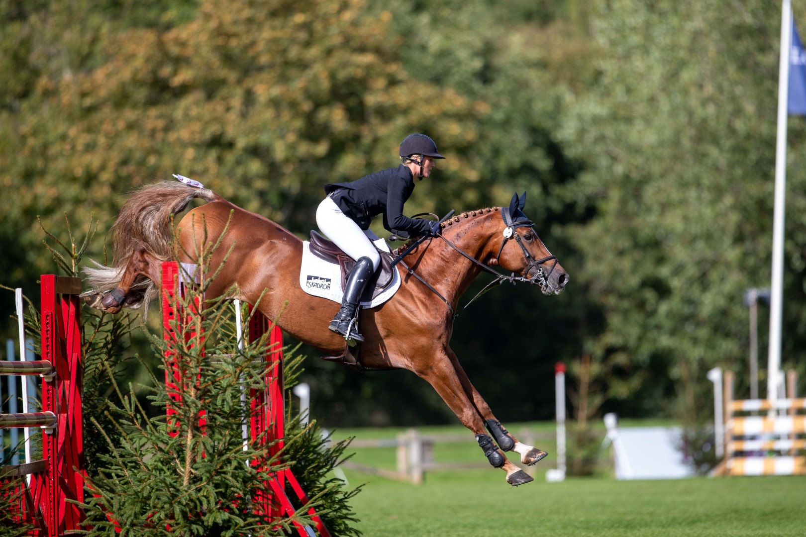 B&H_202009060545-2 (Large).jpg