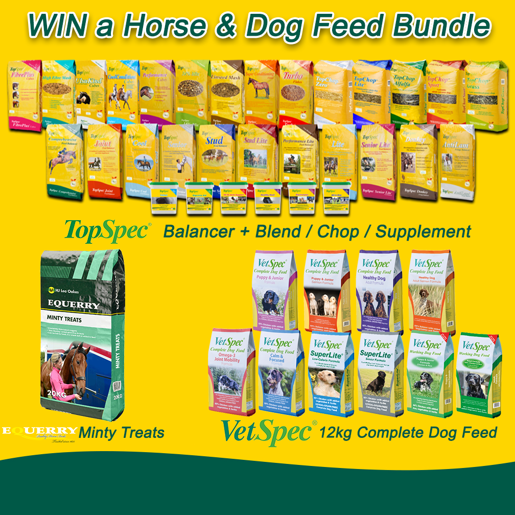 TopSpec Horse and Dog Bundle.png