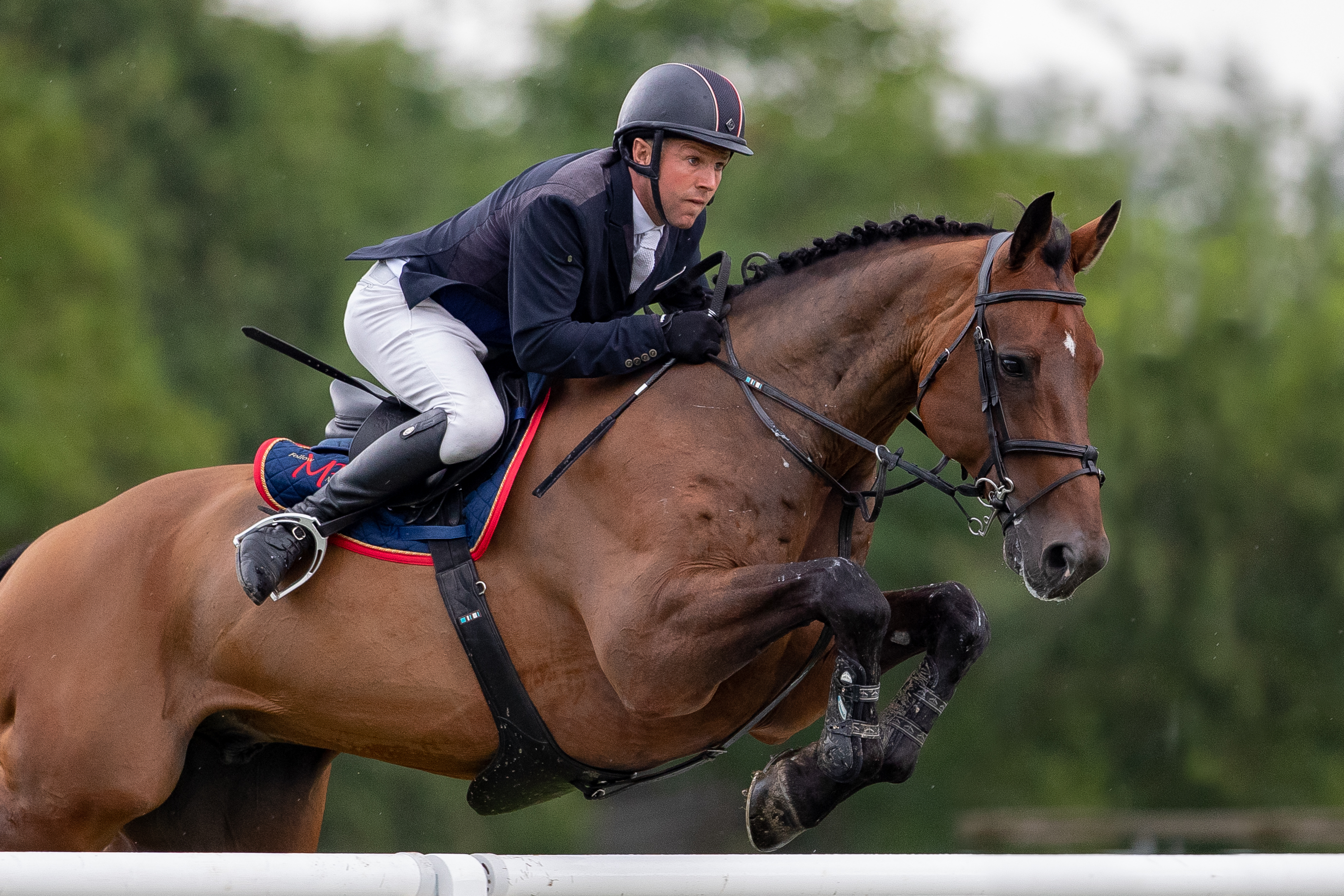 Mark Edwards Montreuxs Tale 2