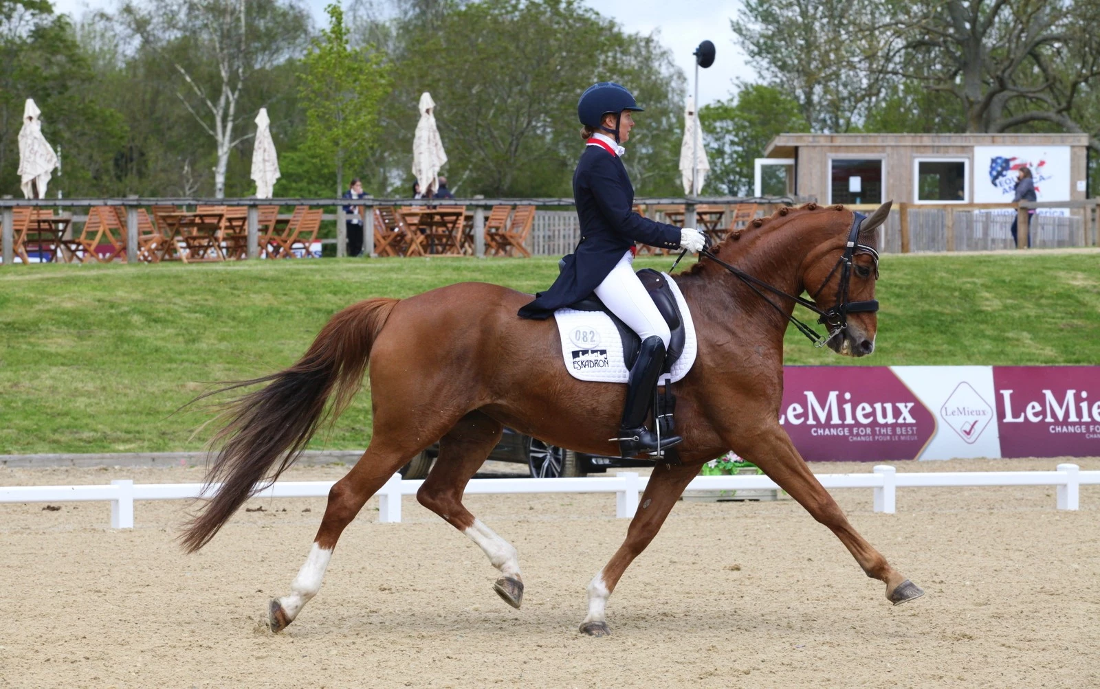 Edited Img 4308 Anna Ross Newton Domino