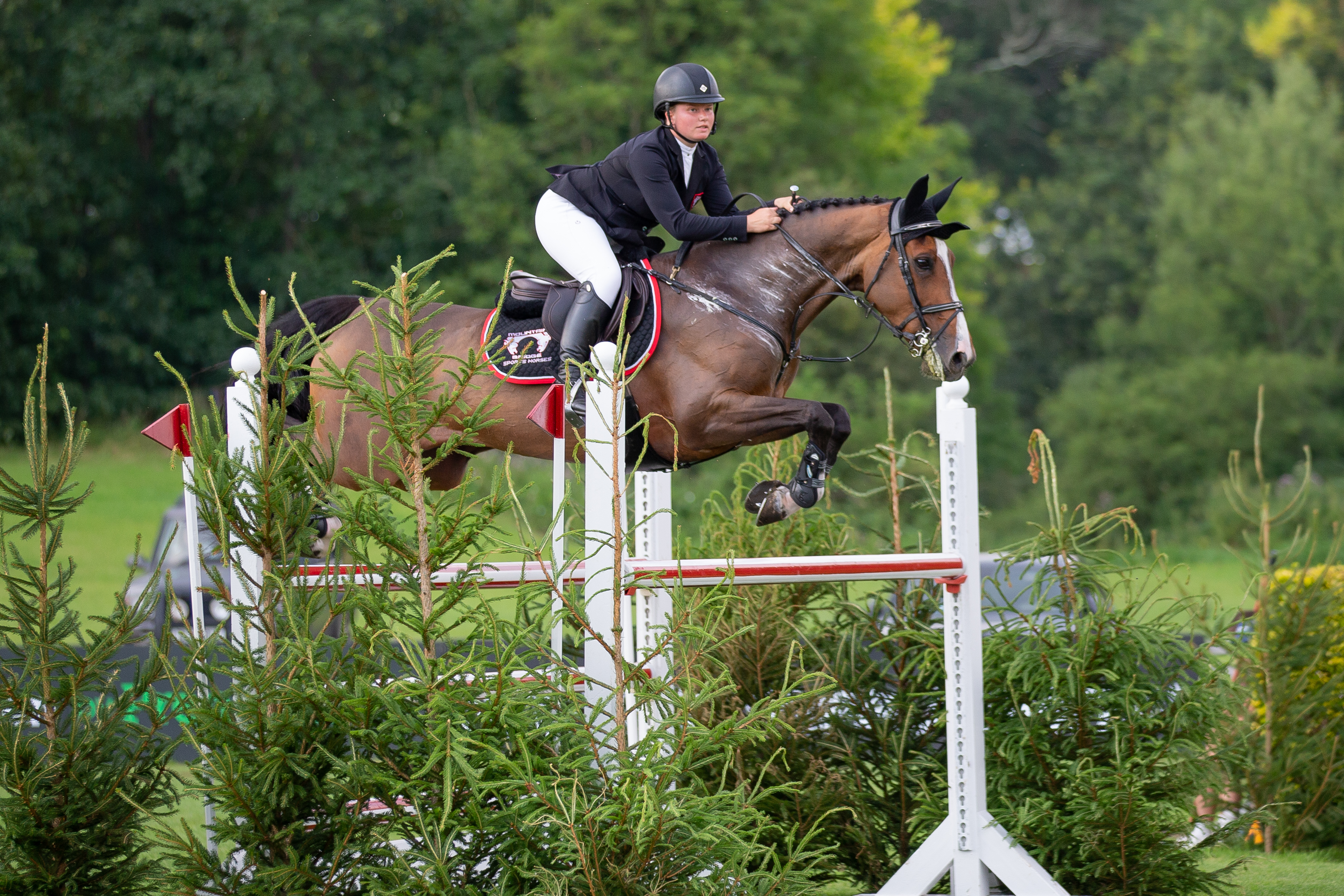 Jessica Hewitt Hot Bluebird