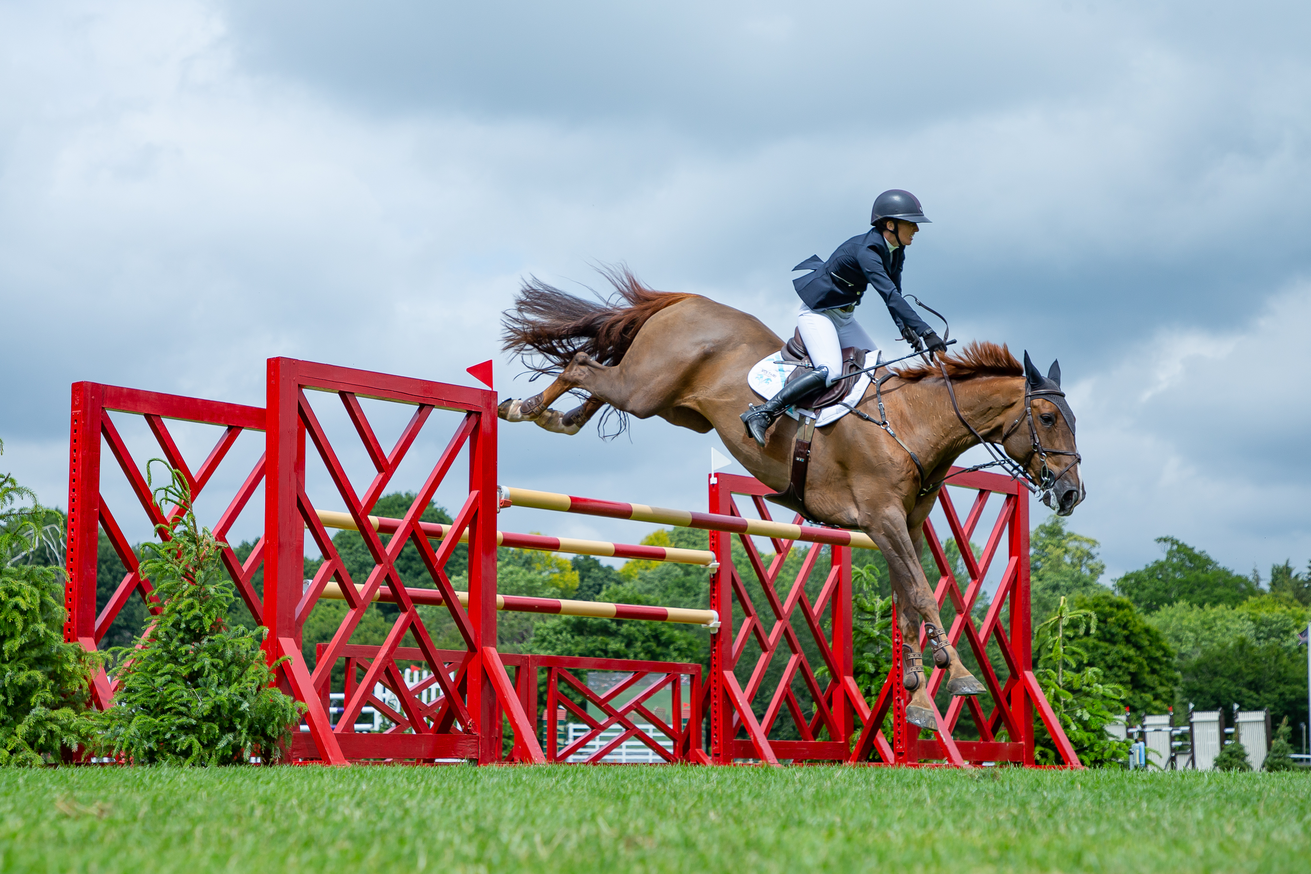 Harriet Biddick A Touch Imperious 14