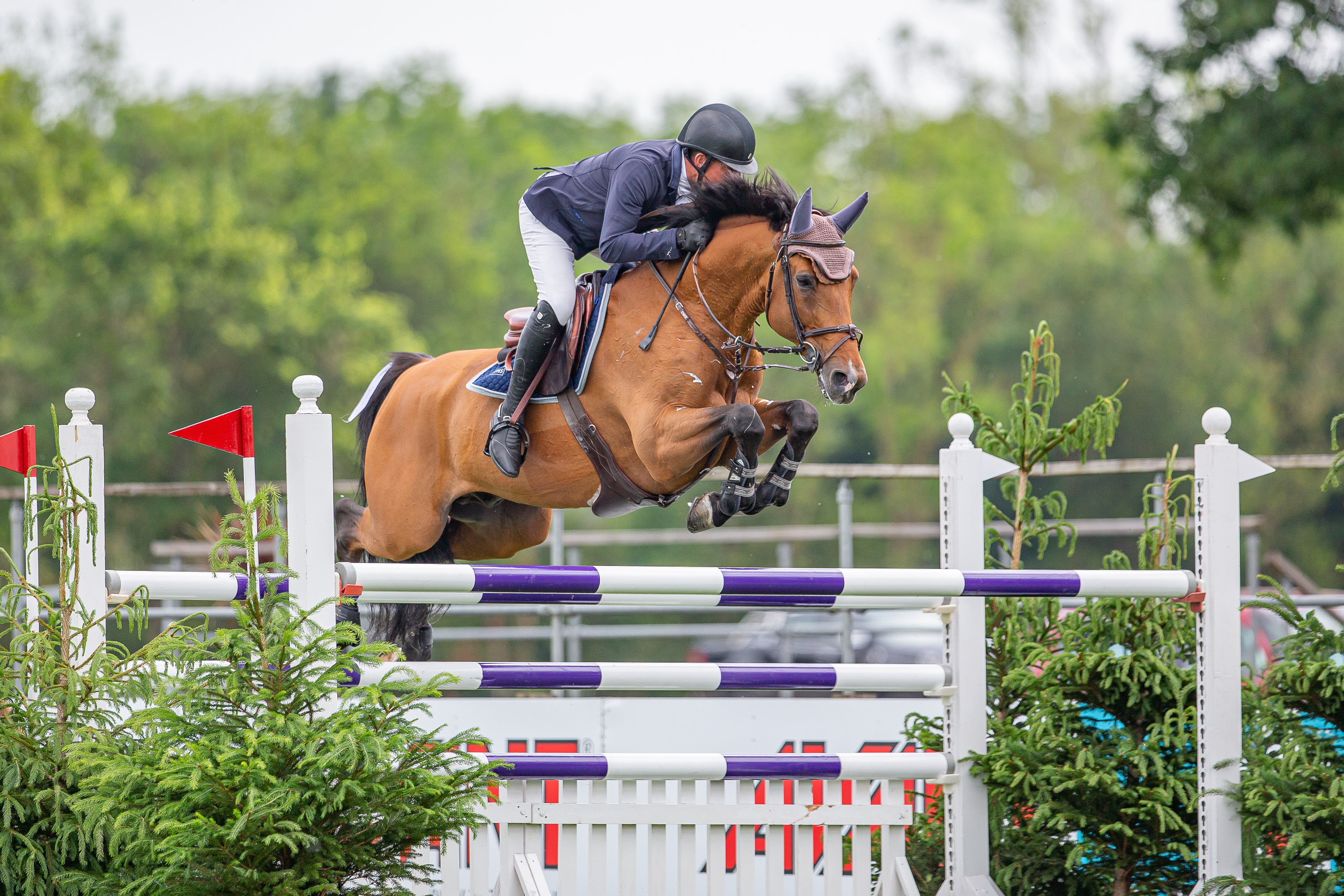 Guy Williams Rouge De Ravel 3