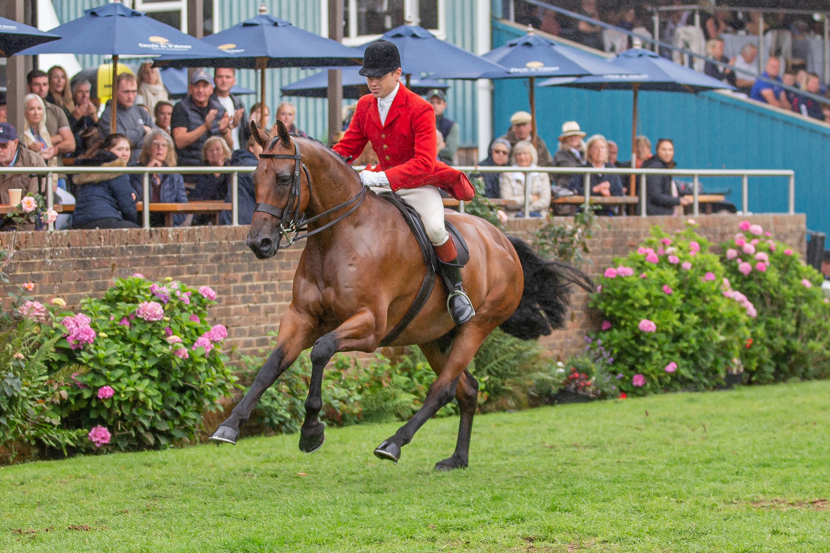 Will Morton & Kilcarna Brilliant (3)