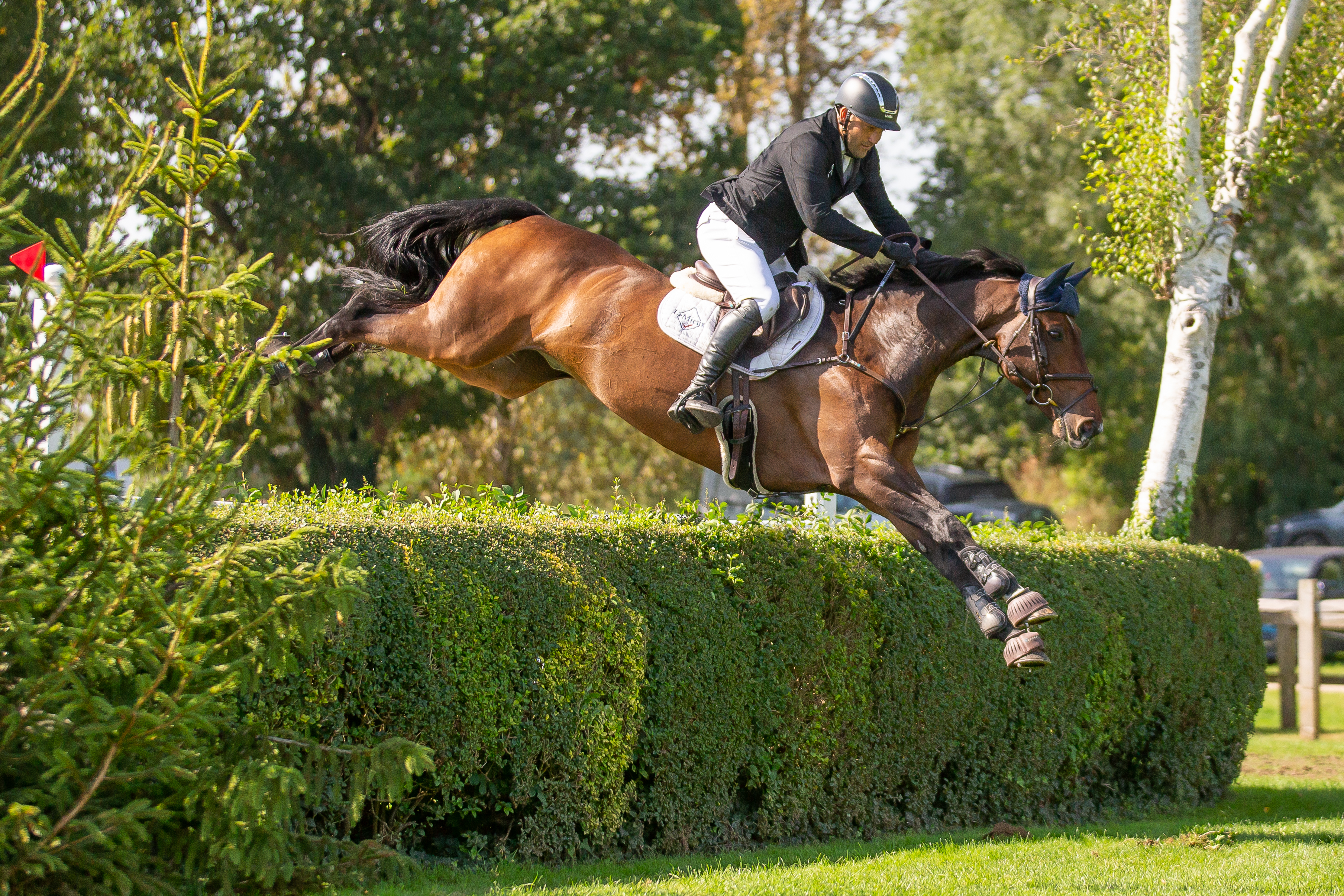 Jay Halim & Lachain Crux C B&H (4)