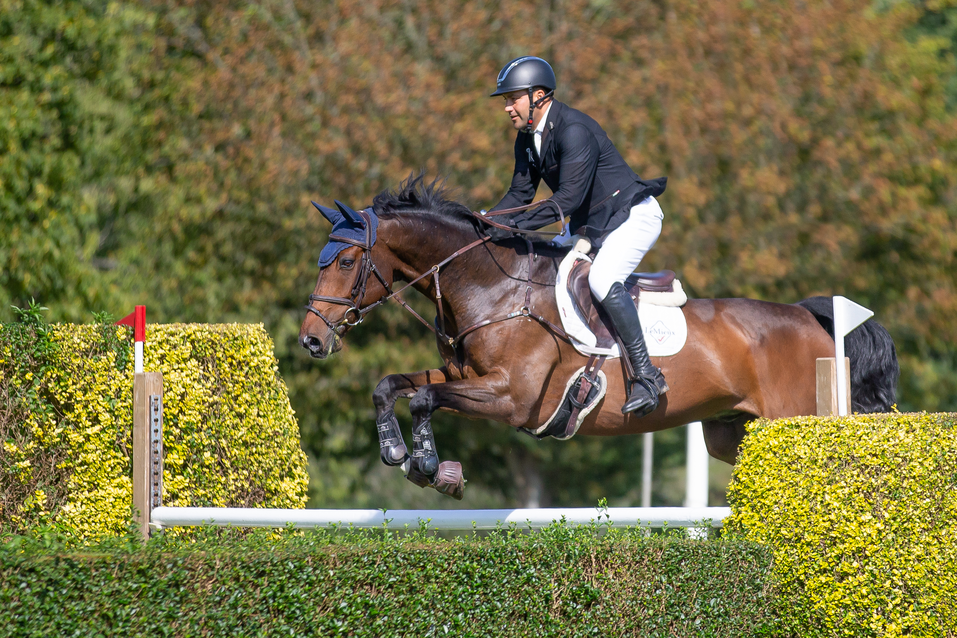 Jay Halim & Lachain Crux C B&H (2)