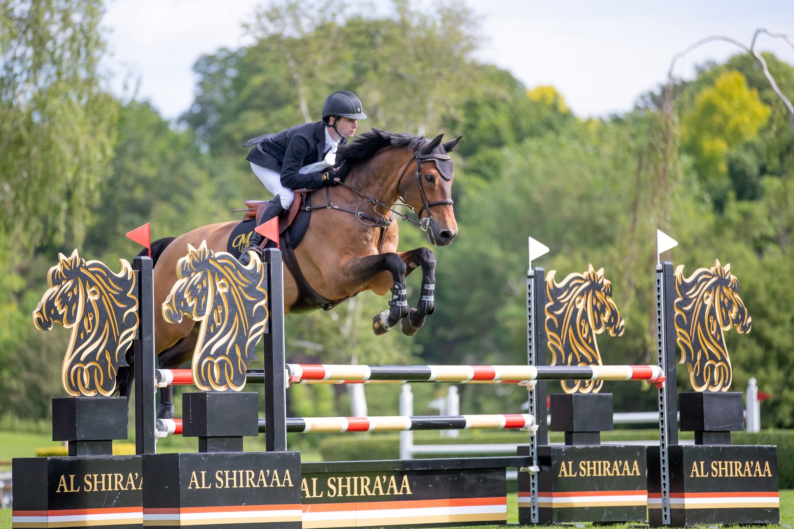 Oisin Murphy Tiger 2 (Large)